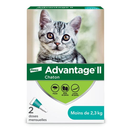 Topical flea protection for kitten - 2 pack Image NaN