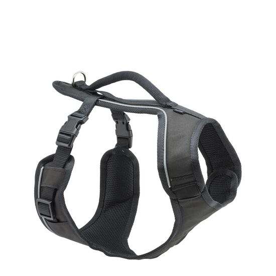 EasySport dog harness, black Image NaN