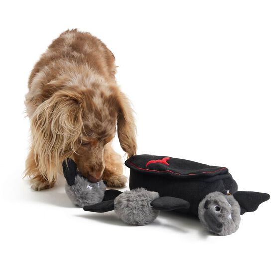 Ensemble de jouet cercueil avec chauves-souris pour chiens Image NaN