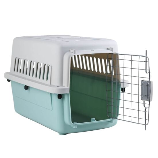 Rigid Pet Carrier, Large Image NaN