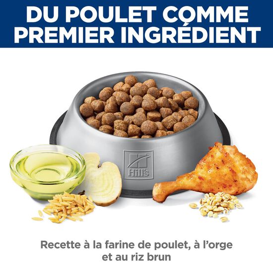 Adult Healthy Mobility Large Breed Chicken Meal, Brown Rice & Barley Recipe Dry Dog Food,13.6 kg Image NaN