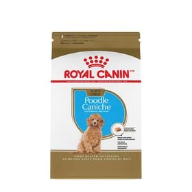 Poodle Puppy Dry Puppy Food