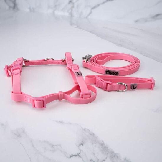 Ensemble de promenade en silicone pour petits chiens, Velour rose Image NaN