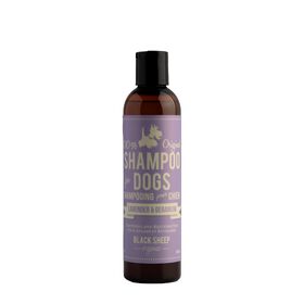 Shampoing pour chiens à l'odeur de lavande et de géranium