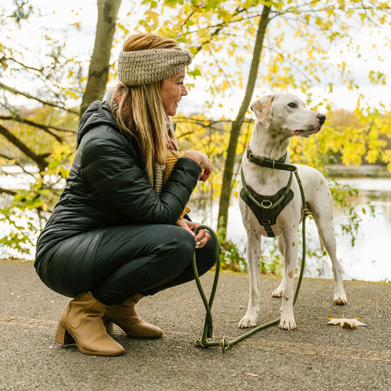 Harnais corde de luxe pour chiens, Olivine Image NaN