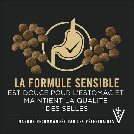 Nourriture sèche développement peaux et estomacs sensibles à l'agneau et riz pour chiots, 10,9 kg Image NaN