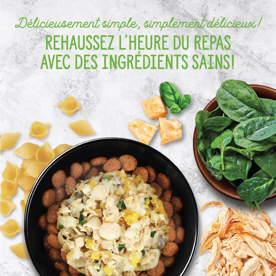 Garniture Style maison au poulet florentine pour chiens, 152 g Image NaN