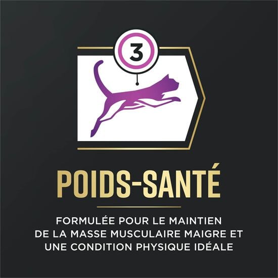 Nourriture s&egrave;che AdvantEDGE Soutien+ s&eacute;nior au poulet et riz pour chats, 2,27 kg Image NaN