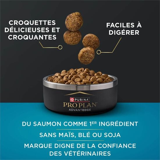 Nourriture s&egrave;che AdvantEDGE Soutien+ digestif petites races au saumon et farine d'avoine pour chiens, 5,44 kg Image NaN