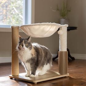 Hammock Style Cat Tree