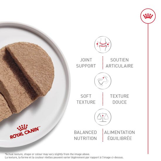 Nourriture en conserve fines tranches en sauce nutrition sant&eacute; f&eacute;line &acirc;g&eacute; 12+ Image NaN