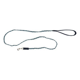 Mini Braided Leash for Dogs, Blue