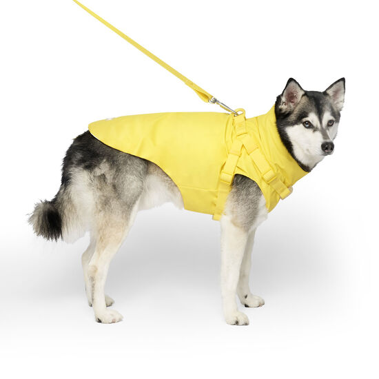 Harness Raincoat for Dogs Image NaN