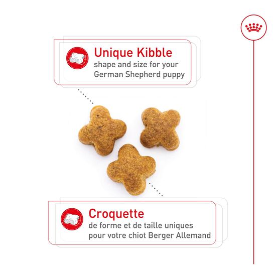 Nourriture s&egrave;che pour chiots de race Berger Allemand Image NaN