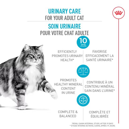 Nourriture sèche formule nutrition soin urinaire pour chats Image NaN