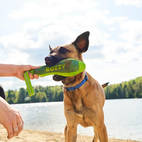 Durable Single-handle Toy for Dogs Image NaN