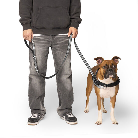 Jacquard Leash for Dogs Image NaN