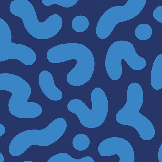 Collier r&eacute;glable pour chiens Image NaN