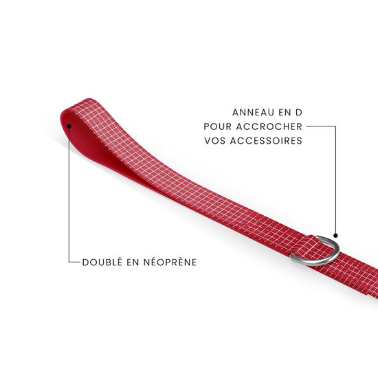 Laisse pour chiens Image NaN