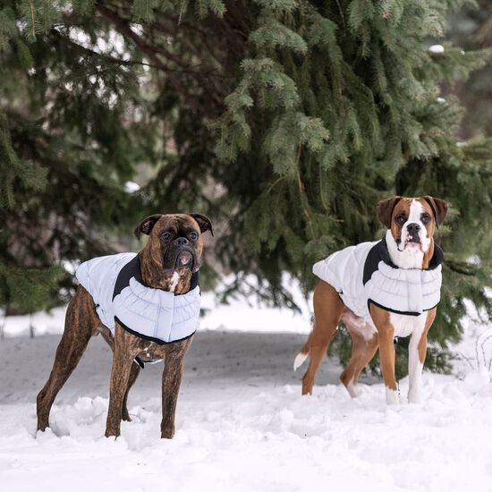 Manteau elasto-fit matelass&eacute; Diamand pour chiens Image NaN