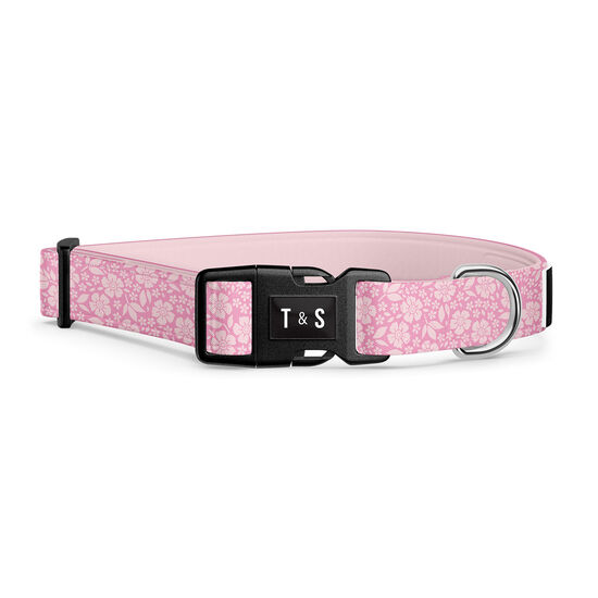 Adjustable Dog Collar Image NaN