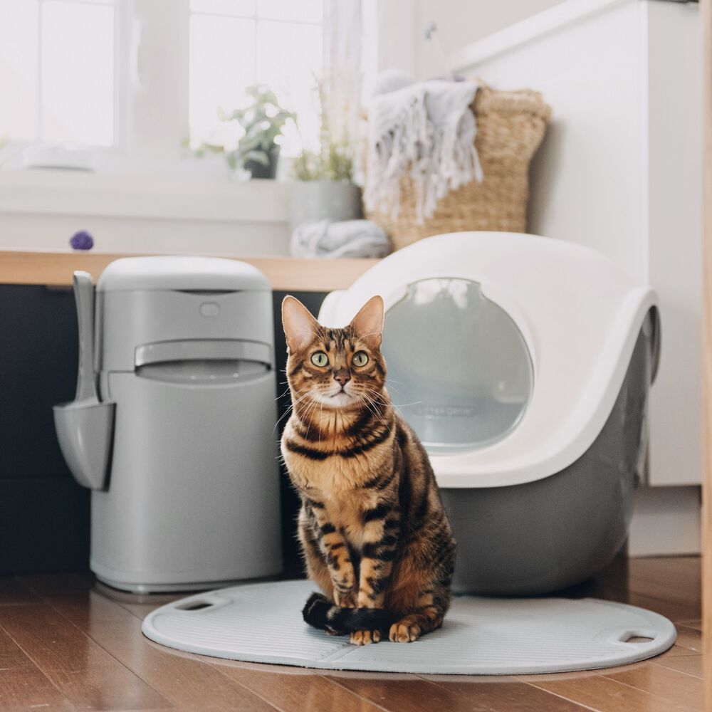 Poubelle à litière « Litter Genie Easy Roll