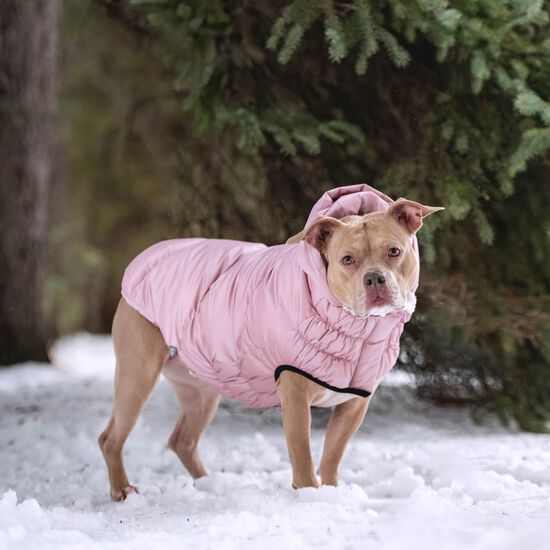 Elasto-Fit® Lunar Glow Parka for Dogs Image NaN