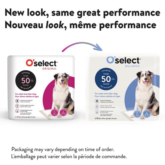 Tapis de propret&eacute; pour chiens adultes et ag&eacute;s, 50 un Image NaN