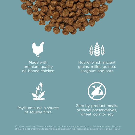 Nourriture sèche au poulet avec grains Digestion + Gut Health pour chats Image NaN