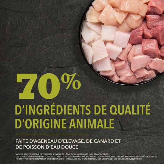 Recette Grasslands Plus forte teneur en protéines pour chiens, 6 kg Image NaN