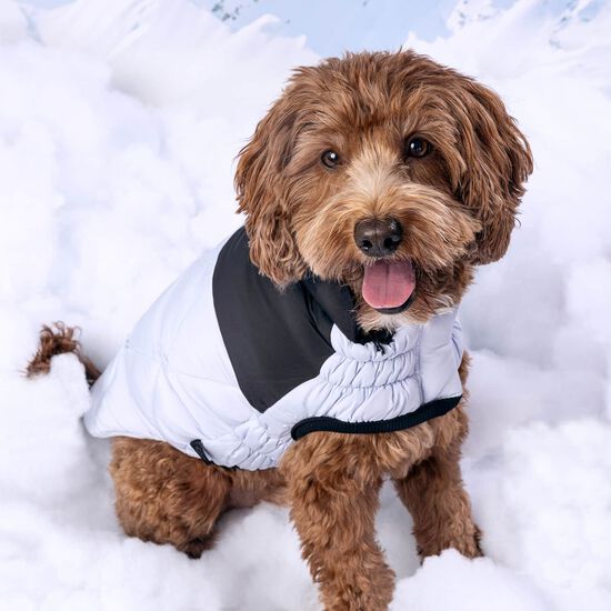 Manteau elasto-fit matelass&eacute; Diamand pour chiens Image NaN