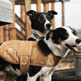 Manteau de travail isol&eacute; Carhartt Firm Duck pour chiens