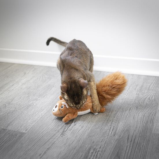 Écureuil électronique Image NaN