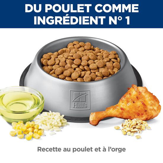 Nourriture s&egrave;che &laquo; Perfect Digestion &raquo; au poulet, riz brun et avoine pour chiens adultes, 9,98 kg Image NaN