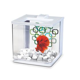 Aquarium équipé pour betta, blanc, 2,5 L