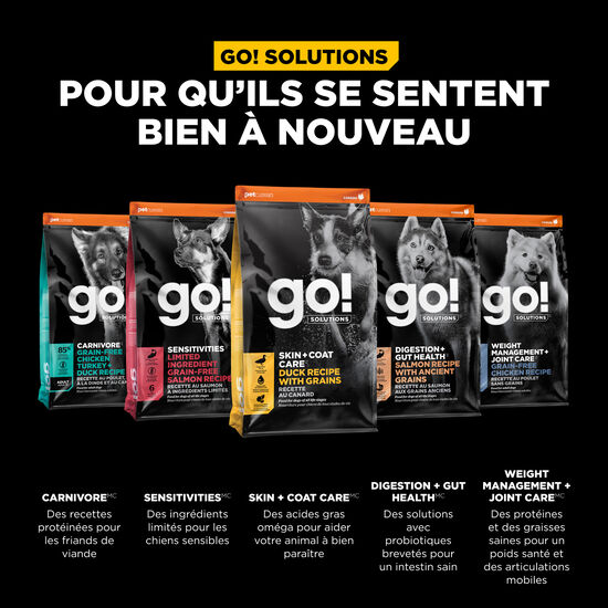 Recette « Skin + Coat Care » au canard avec grains pour chiens, 9,98 kg Image NaN