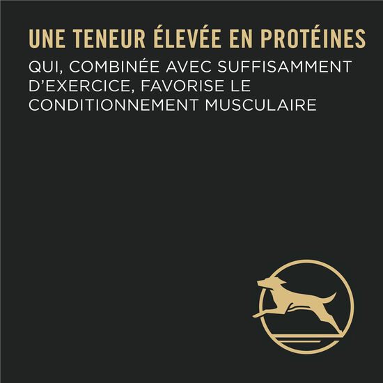 Nourriture s&egrave;che formule poulet et riz pour chiens adultes de grandes races, 21,3 kg Image NaN