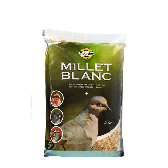 Nourriture au millet blanc pour oiseaux sauvages Image NaN