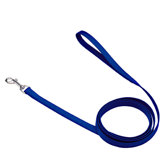 Blue single-ply nylon leash Image NaN