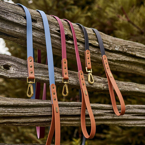 Collier luxe imperméable pour chiens, Cabernet Image NaN