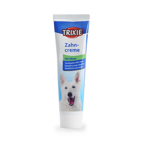 Mint toothpaste for dog 100 g Image NaN