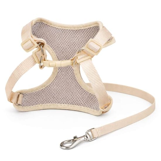 Ensemble harnais et laisse pour petits chiens ou chats Image NaN