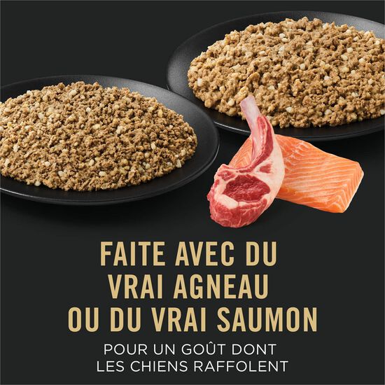 Specialized Sensitive Skin and Stomach Salmon and Rice Entr&eacute;e and Lamb and Oat Meal Entr&eacute;e Classic Variety Pack for Dogs, 368 g x 12 Image NaN