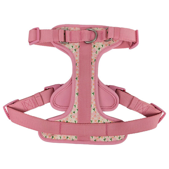 Harnais pour chiens, Champs de fleurs Image NaN