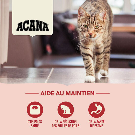 Nourriture sèche Régal d'intérieur pour chats, 4,5 kg Image NaN