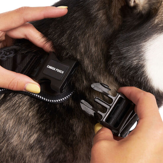 Harnais Complete Control pour chiens Image NaN