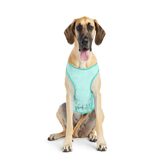 Ice Vest for Dogs Image NaN