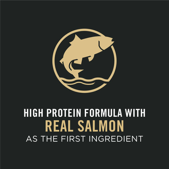Nourriture sèche formule développement peaux et estomacs sensibles au saumon et riz pour chiots, 7,26 kg Image NaN