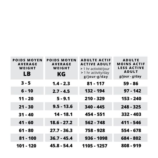 Raw Dog Food, Duck and Berries Image NaN