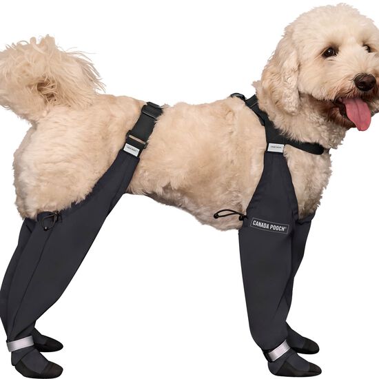 Reflective Suspender Boots for Dogs Image NaN